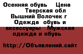 Осенняя обувь. › Цена ­ 3 000 - Тверская обл., Вышний Волочек г. Одежда, обувь и аксессуары » Мужская одежда и обувь   